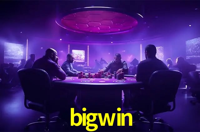 Programa VIP bigwin